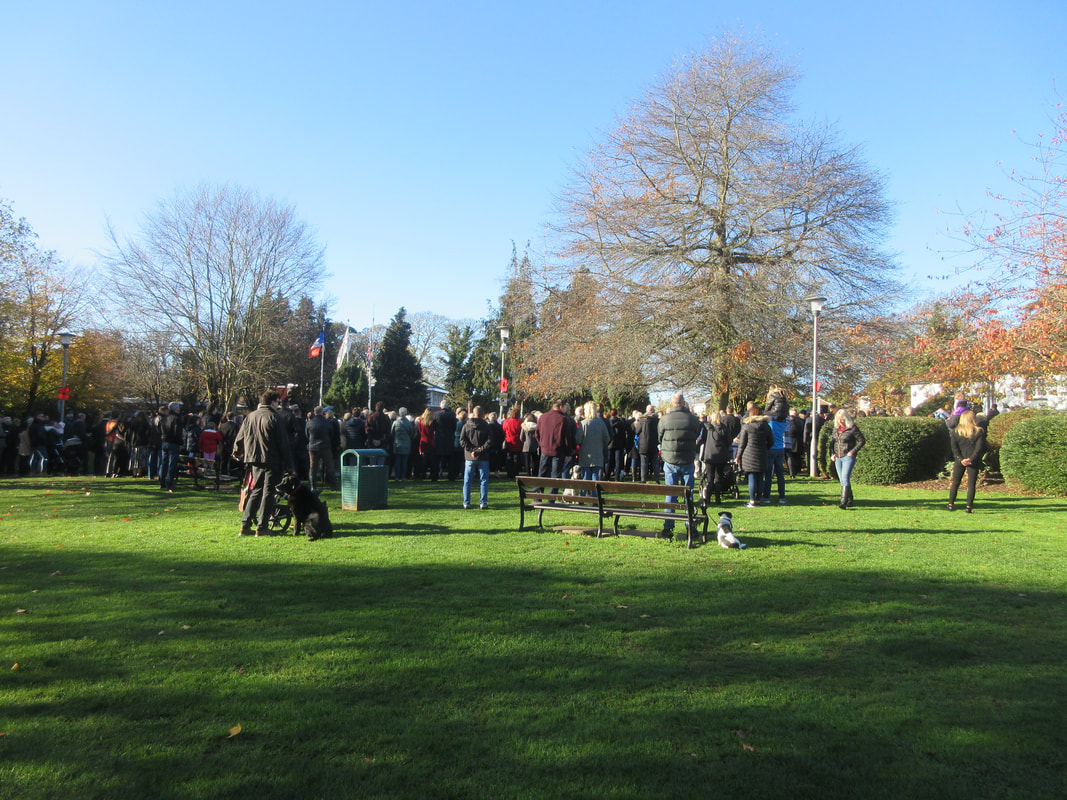 A group of people standing on a village green.  We see them from behind.  They are watching a Remembrance ceremony.  The lamp posts are decorated with large plastic poppies.  Several people have brought dogs.