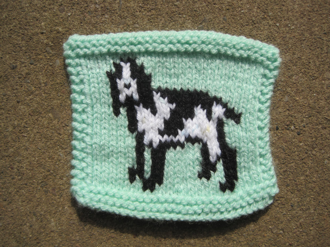 Small knitted rectangle of a black and white dog on a mint green background.